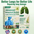 CareBreeze® Advanced Botanical Mullein Lung Cleanse Melt Strips