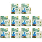 CareBreeze® Advanced Botanical Mullein Lung Cleanse Melt Strips