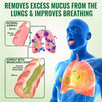 CareBreeze® Advanced Botanical Mullein Lung Cleanse Melt Strips