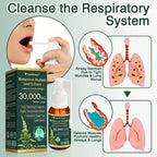CareBreeze® Botanical Mullein Leaf Extract Lung Cleanse Spray